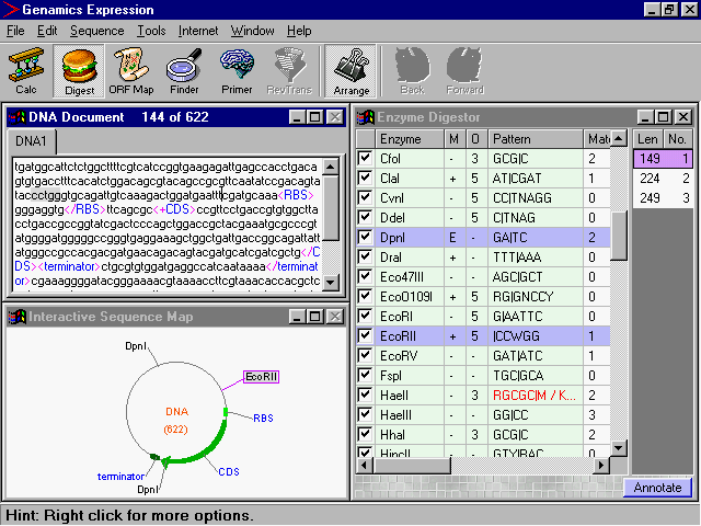 Restriction Mapping and Analysis