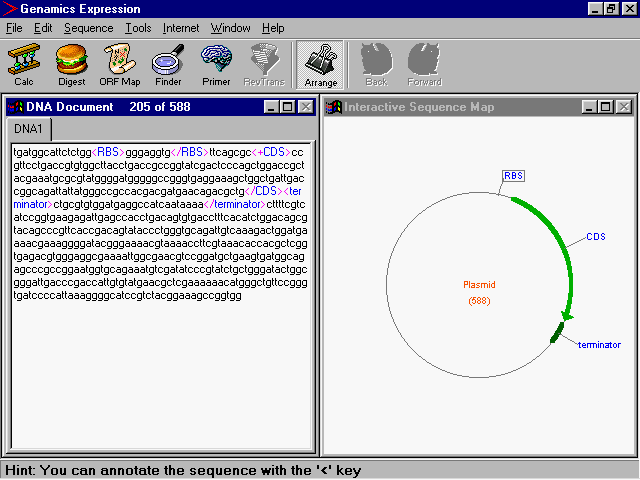 DNA Sequence Annotation