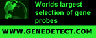 Gene Detect